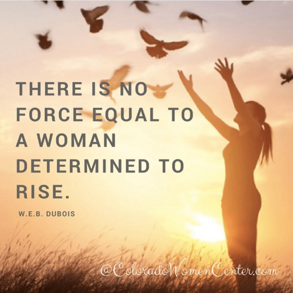 How Can Women Rise In 2018 Colorado Womens Center