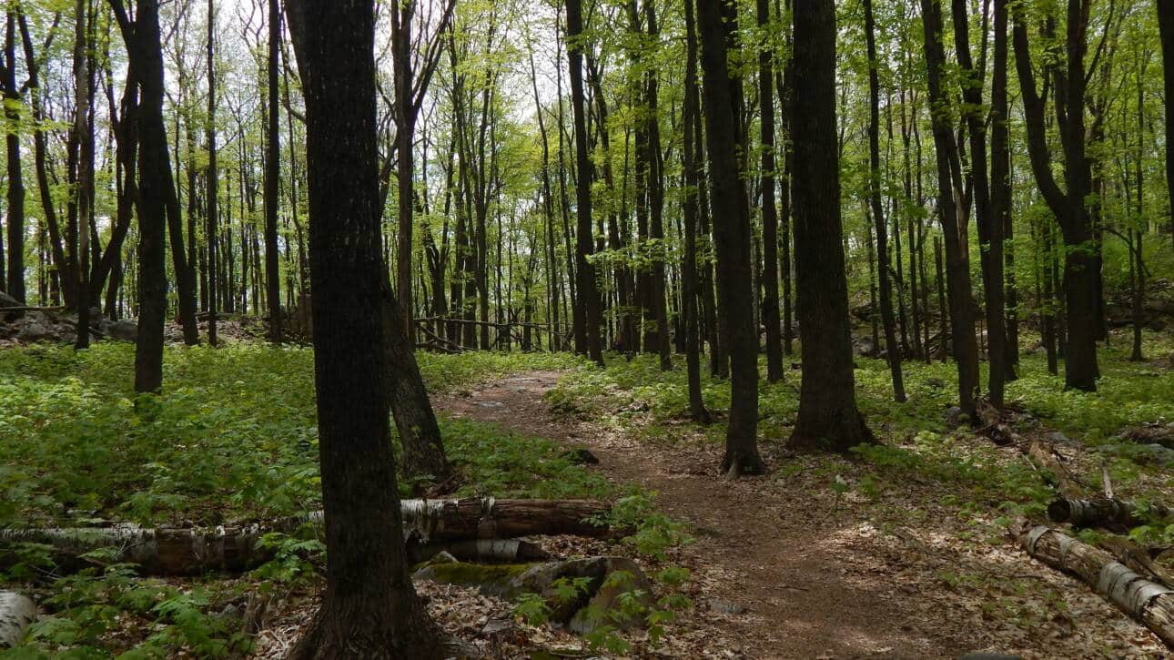 achieving work life balance